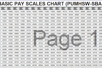 do data collection and data entry