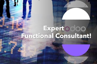expert odoo functional consultant