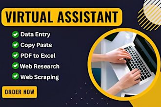 be your best virtual assistant , customer support