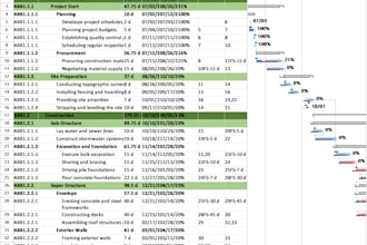 create gantt chart , wbs, project plan with ms project