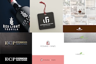 premium logo icon design