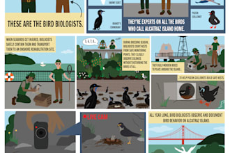 make a unique educational comic