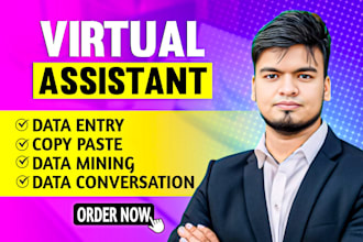 be your virtual assistant for data entry, data mining, web research