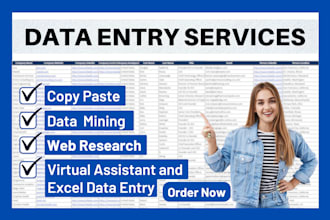 provide top quality data entry, web research, copy paste, excel data entry job