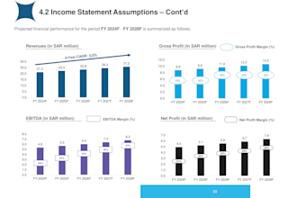 build financial projections, models, forecasts and analysis