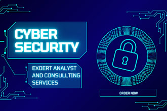 do expert cyber security project analysis, penetration testing and consulting