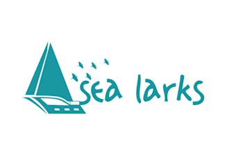design suitable classic boat card logo