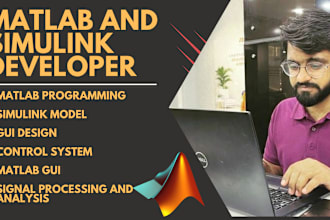 expert matlab and simulink developer