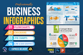 design product infographic, flowchart, diagram in 12 hours