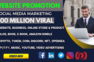 promote your website amazon, crypto, books blog brand any link targeted people