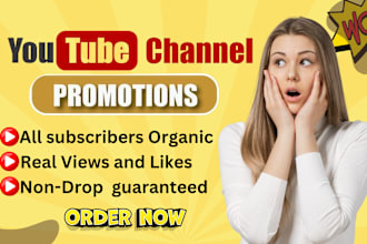 provide fast subscribes, watch time for youtube monetization