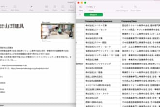 research the japanese market