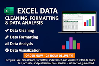 do excel data cleaning, data analysis, and data visualization