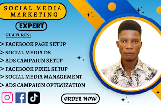 set up facebook ads, instagram ads, or tiktok ads for social media marketing