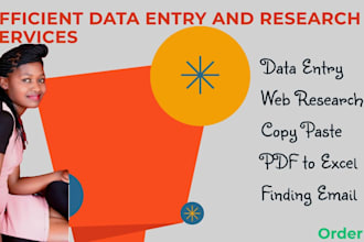 be your virtual assistant for data entry, data mining, copy paste, web research