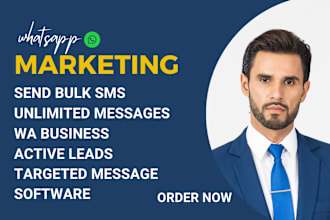 blast whatsapp bulk messages marketing official software worldwide whatsapp api