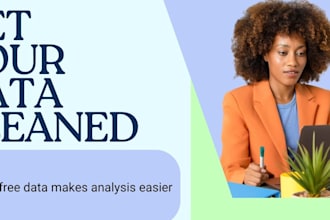 do data entry and cleaning  in microsoft excel and google spreadsheets