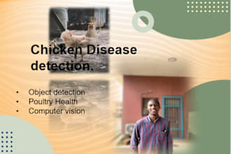 build custom object detection and tracking models