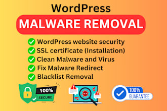 provide wordpress security by wordpress malware removal, SSL