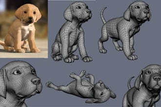 do dog model, pet, puppy, dog product, pet supplies, video production, landscape