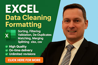 professionally clean, organize, format, and optimize your ms excel data