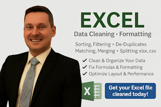 professionally clean, organize, format, and optimize your excel data