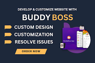 build a premium buddy boss wordpress website