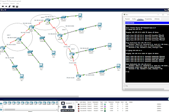 do any type of cisco packet tracer and ccna labs