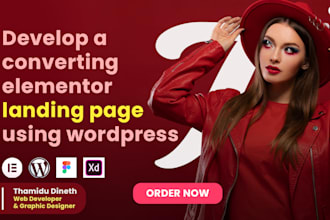 create a professional wordpress elementor landing page, funnel page etc