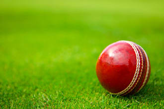 do sports summaries and analysis