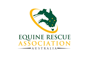 design modern rescue association logo