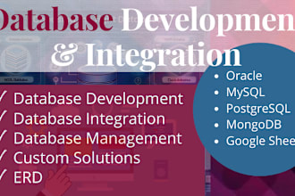 develop and integrate your database oracle, mysql, postgresql, mongodb, sheet