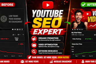 be the best youtube video SEO specialist for organic promotion