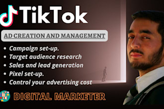 setup, manage and run tiktok ads campaign , tiktok advertisement
