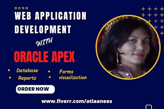 develop or customize oracle database and oracle apex application