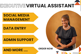 executive virtual assistant social media admin support manager data entry