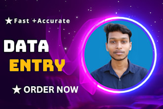 do fast accurate data entry, pdf to excel, excel data entry