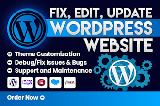 debug, fix, edit, and update your website or make wordpress changes