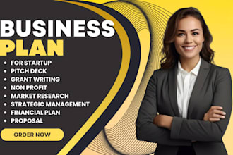 write investor ready business plan, business proposals