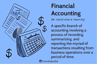 do accounting and finance assignments, financial analysis reports, excel project