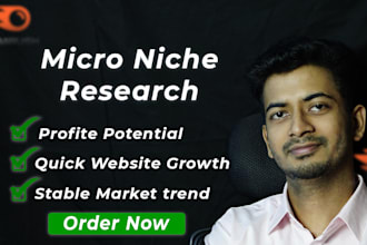micro niche keyword research for you