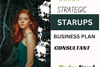 write business plan startups, investor ready business plan with financial plan