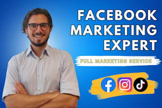 do facebook advertising, marketing,fb ads campaign,fb advertising, instagram ads
