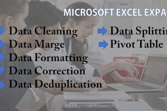 do ms excel data cleaning, formatting, splitting,pivot table