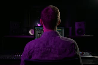 do professional audio mixing and mastering for your  song