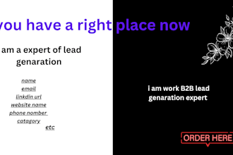 b2b lead genaration and data collact