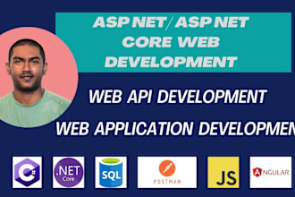 develop custom web application on asp net, asp net core mvc