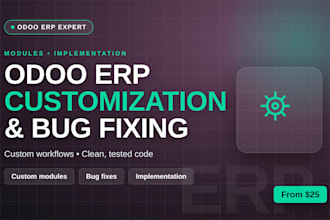 customize, implement, and fix bugs in your odoo erp