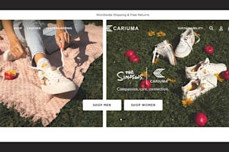 design stunning sneakers shopify store footwear store sneaker dropshipping store