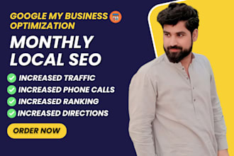 provide monthly local SEO service and gbp optimzation